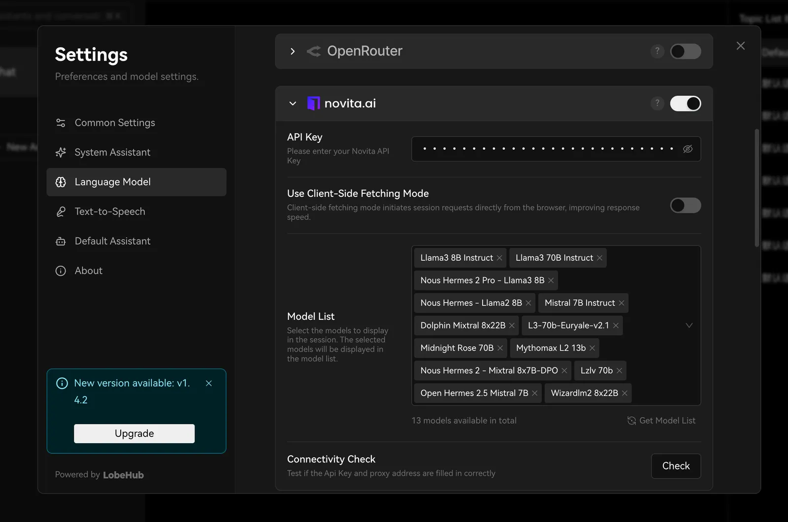 Enter Novita AI API key in LobeChat